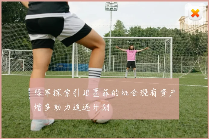 绿军探索引进墨菲的机会现有资产增多助力追逐计划